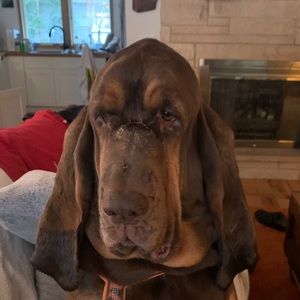 Meet your Posher, Vince